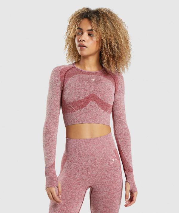 Damske Crop Top Gymshark Flex Sports Long Sleeve Bordove | ZS6810952